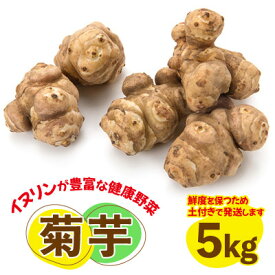 【ふるさと納税】＼先行予約／ 菊芋(きくいも) 健康野菜 5kg【配送不可地域：離島】 (BJ016)