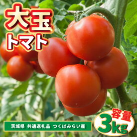 【ふるさと納税】大玉トマト 3kg (茨城県共通返礼品:つくばみらい市産)【配送不可地域：離島・沖縄県】 (BR086)
