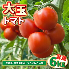 【ふるさと納税】大玉トマト 6kg (茨城県共通返礼品:つくばみらい市産)【配送不可地域：離島・沖縄県】 (BR094)