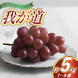 【ふるさと納税】【2026年9月より順次発送予定】我が道　約5キロ　7〜9房(県内共通返礼品:かすみがうら市産)【配送不可地域：離島・沖縄県】 (BR100)