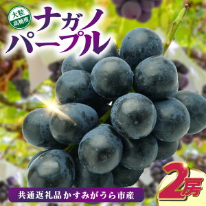 yӂ邳Ɣ[ŁziKmp[v2[@ʕԗi:݂sYyzsnFEꌧz (BR155)