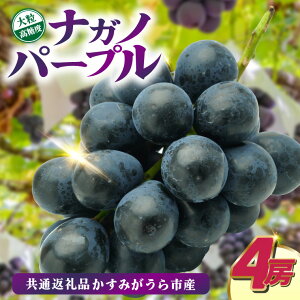 yӂ邳Ɣ[ŁziKmp[v4[@ʕԗi:݂sYyzsnFEꌧz (BR156)