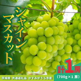 【ふるさと納税】シャインマスカット700g×1房【配送不可地域：離島・沖縄県】