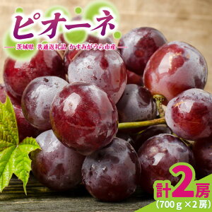 yӂ邳Ɣ[ŁzsI[l700g×2[yzsnFEꌧz (BR181)