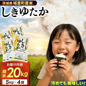 yӂ邳Ɣ[Łz 20kg (5kg×4) 䂽yߘa6NYz   闢 j_Y VL^JyzsnFz (AX004)