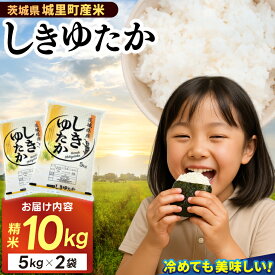 【ふるさと納税】★☆ 関東地方限定配送 ☆★ 精米 10kg(5kg×2袋) しきゆたか【令和7年産】お米 米 ご飯 城里町 桂農産 シキユタカ【配送不可地域：関東以外】 (AX003)