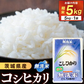 【ふるさと納税】無洗米 コシヒカリ 5kg 新米 令和7年産 ★関東地方限定配送★ こしひかり お米 精米 5キロ 精白米 お米 米 ご飯【配送不可地域：関東以外】(AX015)