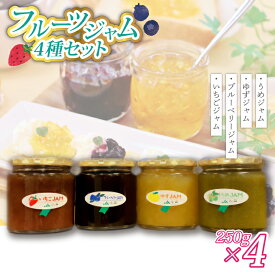 【ふるさと納税】いちご・ゆず・梅・ブルーベリージャム(250g)×各1個【配送不可地域：離島】 (AF004)