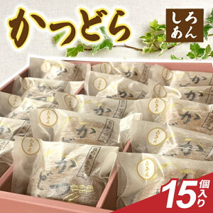 yӂ邳Ɣ[Łzǂ15yz(AF097)