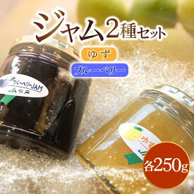 【ふるさと納税】ジャム2種セット【ゆず・ブルーベリー】(AF116)