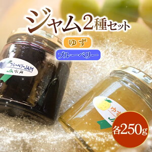 yӂ邳Ɣ[ŁzW2Zbgy䂸Eu[x[z(AF116)