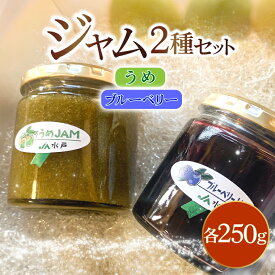 【ふるさと納税】ジャム2種セット【うめ・ブルーベリー】(AF117)