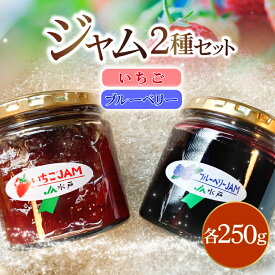 【ふるさと納税】ジャム2種セット【いちご・ブルーベリー】(AF120)
