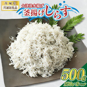 yӂ邳Ɣ[Łzy錧ʕԗizÍ`g̊g炷 500g(250g×2pbN)(ks)yzsnFz (BC008)