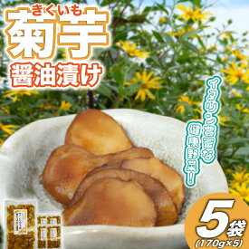 【ふるさと納税】菊芋(きくいも)醤油漬け5パック(170g入り)【配送不可地域：離島】 (BJ010)