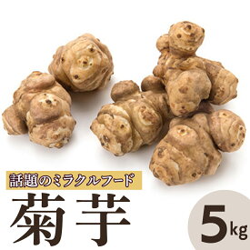【ふるさと納税】菊芋(きくいも) 健康野菜 5kg 【2026年 11月以降発送】いも 芋 サラダ アレンジ 炒め物 漬物 茨城県 城里町
