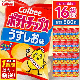 【ふるさと納税】 ポテトチップス カルビー 「うすしお味」16袋（55g×16袋）1ケース 総計880g【ポテチ Calbee うすしお セット 菓子 ポテト チップス スナック おやつ しお じゃがいも ジャガイモ お取り寄せ まとめ買い 詰め合わせ 詰合せ 人気 送料無料】 (BG026)