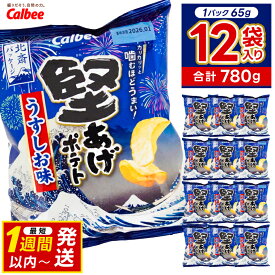 【ふるさと納税】 堅あげポテト カルビー 「うすしお味」 ポテトチップス 12袋（65g×12袋）1ケース 総計780g【ポテチ Calbee かたあげポテト うすしお かたあげ しお セット 菓子 ポテト チップス スナック おやつ じゃがいも ジャガイモ 詰め合わせ 詰合せ 送料無料】