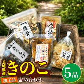 【ふるさと納税】きのこ加工品詰め合わせ5点セット きのこミックス 野菜 水煮 国産 きのこ ご飯の素 国産 うどん そばの具 乾燥 しいたけ 乾燥 きくらげ 乾燥きのこ