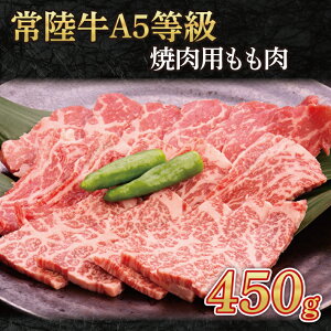 yӂ邳Ɣ[Łz헤A5@ēp450g()(AC001)