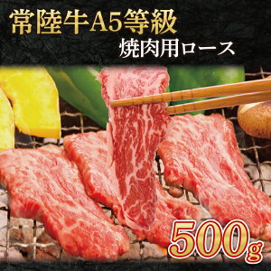 yӂ邳Ɣ[Łz헤A5@ēp500gi[XjiAC008j