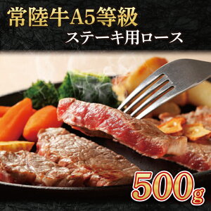 yӂ邳Ɣ[Łz헤A5@Xe[Lp500gi[XjiAC011j