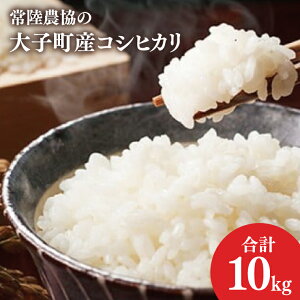 yӂ邳Ɣ[Łzߘa7NYyVāz헤_̑qYRVqJ10kgb錧 q    Ђ ӂ  ReXg܁iAH003-2j