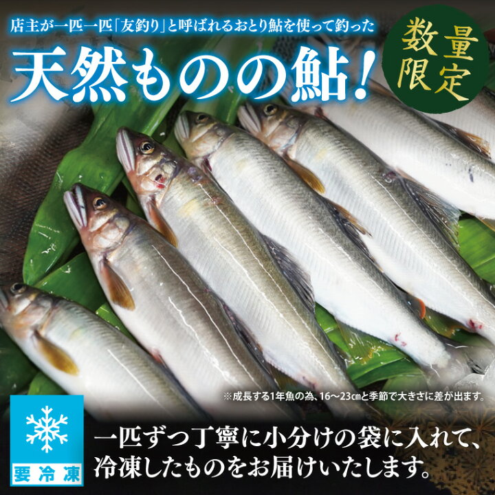 楽天市場】【ふるさと納税】【夏季限定】清流 久慈川 天然鮎 6～7匹 