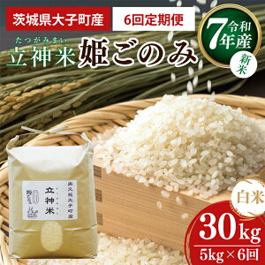 yӂ邳Ɣ[Łzy6ցzyVāzߘa7NY _āuP̂݁viāj 5kg× 6b錧 q RVqJ  ReXg  Y qY Yn (BT073)