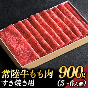 yӂ邳Ɣ[Łz錧ւ 헤 (Ăp) 4`5 900g(5`6lO)y錧ʕԗiz(BZ002)