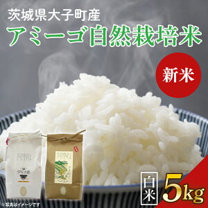 yӂ邳Ɣ[ŁzyVĐs\zy2025N11{\zyIׂeʁzߘa7NY V 2kg E3kgE5kg A~[S yāziRVqJER͔|āi7NځjEVājb