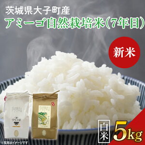 yӂ邳Ɣ[ŁzyVāzy2025N11{\zyIׂeʁzߘa7NY V 2kg`5kg A~[S yāziR͔|āi7NځjEVājb錧 q ܓc  