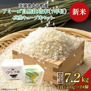 yӂ邳Ɣ[ŁzyVāzy2025N11{\zyIׂzߘa7NY V ^L[u 2(300g)×12E24uA~[SāviR͔|āi7NځjEVājb錧 q