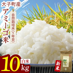 yӂ邳Ɣ[Łzys\zy11{菇\zyIׂeʁzߘa7NY V 5kg or 10kg A~[S yāziRVqJEVāER͔| i1Nځjjb錧 