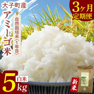 yӂ邳Ɣ[Łzy3ցzys\zy11{菇\zߘa7NY V 5kg A~[S yāziRVqJEVāER͔| i1Nځjjb錧 q 