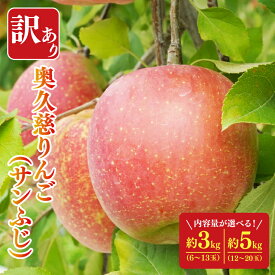 【ふるさと納税】【選べる内容量】【訳あり】樹上完熟の奥久慈りんご「サンふじ」約3kg（6～14玉）or 約5kg（12～23玉）不揃い 規格外 傷あり 色むら 家庭用｜斉藤りんご園第2直売所 茨城県 大子町 林檎 果物 フルーツ 旬（CG010-1）
