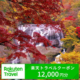 【ふるさと納税】茨城県大子町の対象施設で使える楽天トラベルクーポン 寄付額40,000円　クーポン12,000円分　【チケット】（BA021）