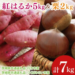 yӂ邳Ɣ[ŁzyIׂizys\zy2025N9菇z܂5kg  I2kgi錧ʕԗiFssA΂݂炢sjb܂ Tc}C  Zbg ʌ