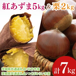 yӂ邳Ɣ[ŁzyIׂizys\zy2025N9菇z܂5kg  I2kgi錧ʕԗiFssA΂݂炢sjb܂ Tc}C  Zbg ʌ