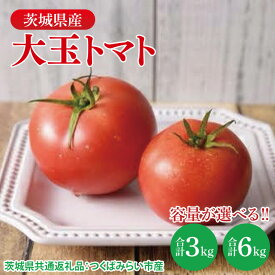 【ふるさと納税】【選べる】大玉トマト 3kg or 6kg（茨城県共通返礼品：つくばみらい市産）|トマト　大きい 野菜 夏野菜 数量限定 つくばみらい市産 共通返礼品 茨城県 大子町（CD148）
