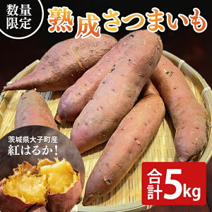 yӂ邳Ɣ[Łzys\zy10{菇\zn܂ g͂邩 5kgb錧 q Tc}C ׂɂ͂邩  Â zNzN  ʌ 5L {iCH001j