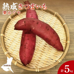 yӂ邳Ɣ[Łzys\zy10{菇\zn܂ I 5kgb錧 q Tc}C  Â zNzN  ʌ 5L {iCH004j