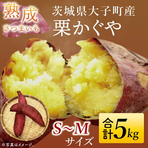 yӂ邳Ɣ[Łzys\zy10{菇\zn܂ I 5kgb錧 q Tc}C  Â zNzN  ʌ 5L {iCH004j