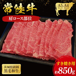yӂ邳Ɣ[ŁzyIׂeʁz헤 [X Ăp ( 錧ʕԗi ) Y  ₫ uh Mtg j јa ōuh qiCU006j
