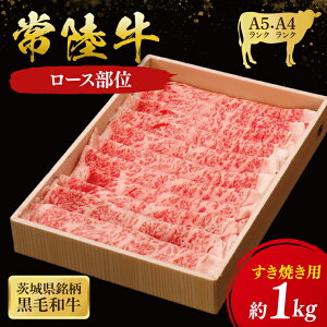 yӂ邳Ɣ[ŁzyIׂeʁz헤 [X Ăp( 錧ʕԗi ) Y  Ă ₫ uh Mtg 蕨 Ε  j јa ōuh q
