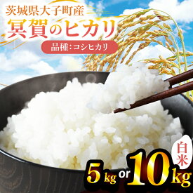 【ふるさと納税】 令和7年産「冥賀のヒカリ」コシヒカリ（白米）5kg ｜茨城県 大子町 奥久慈 天日干し米 おだがけ米 はざがけ米 いねかけ米 米 精米 ご飯 数量限定(DA001)