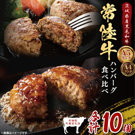 【ふるさと納税】【茨城県共通返礼品】常陸牛100％ vs 常陸牛入りハンバーグの食べ比べセット （計10個入り）常陸牛使用｜ブランド牛 銘柄牛 和牛 黒毛和牛 国産 A5・A4ランク 等級 お肉 牛肉 真空 小分け 個包装 茨城県 大子町（DD021）
