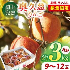 【ふるさと納税】【仲野りんご園】樹上完熟の奥久慈りんご「サンふじ」約3kg（9～12玉）｜茨城県 大子町 林檎 アップル 果物 フルーツ シャキシャキ みずみずしい 旬 秋 味覚 ギフト 贈答（DF001）