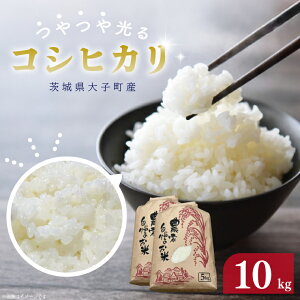 yӂ邳Ɣ[ŁzyeʂIׂzy ߘa7NYz VăRVqJ 5kg or 10kg er_b錧 q    YniCL001-1j