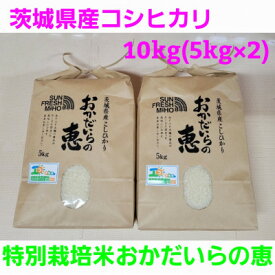 【ふるさと納税】【令和5年産】茨城県産コシヒカリ 特別栽培米おかだいらの恵10kg　精米(5kg×2袋)【1294946】